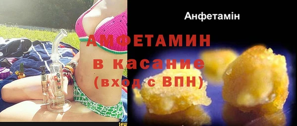 амф Верхний Тагил