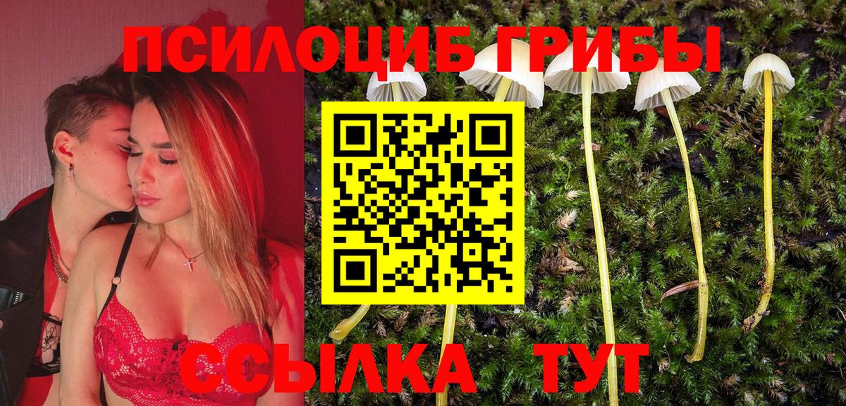 Псилоцибиновые грибы Psilocybe Химки